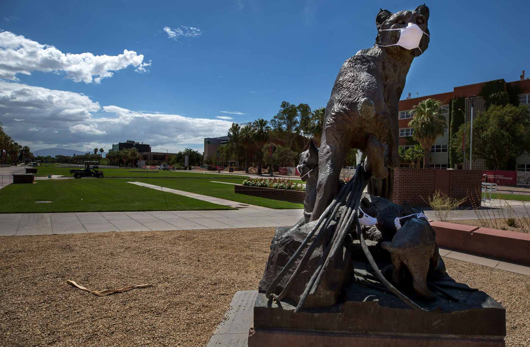 University of Arizona, coronavirus pandemic